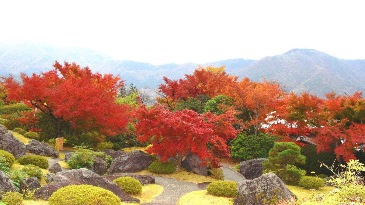 【箱根美術館】秋は芸術の秋とともに紅葉も楽しめる隠れスポットです