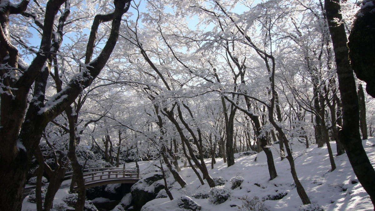 【箱根美術館】雪化粧をした苔庭もキラキラとても綺麗です♪