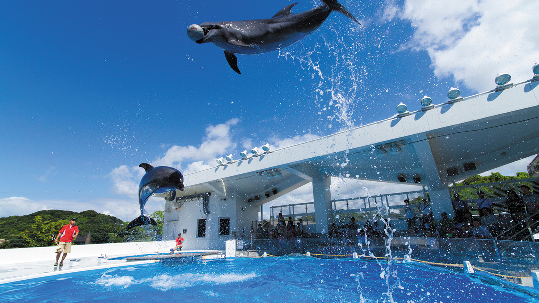 西海国立公園九十九島水族館 海きらら