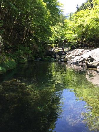 大血川渓流観光釣り場