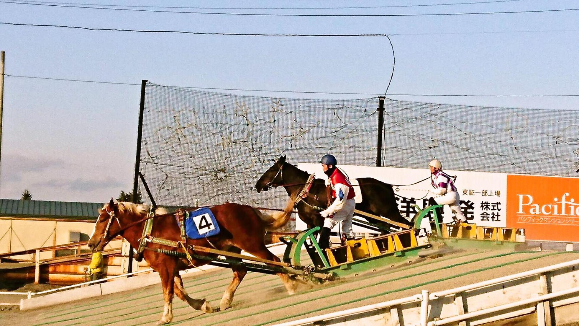 ばんえい競馬