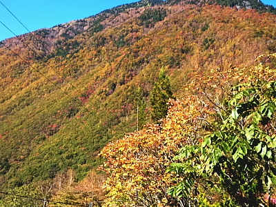 部屋からの近くの山々の紅葉