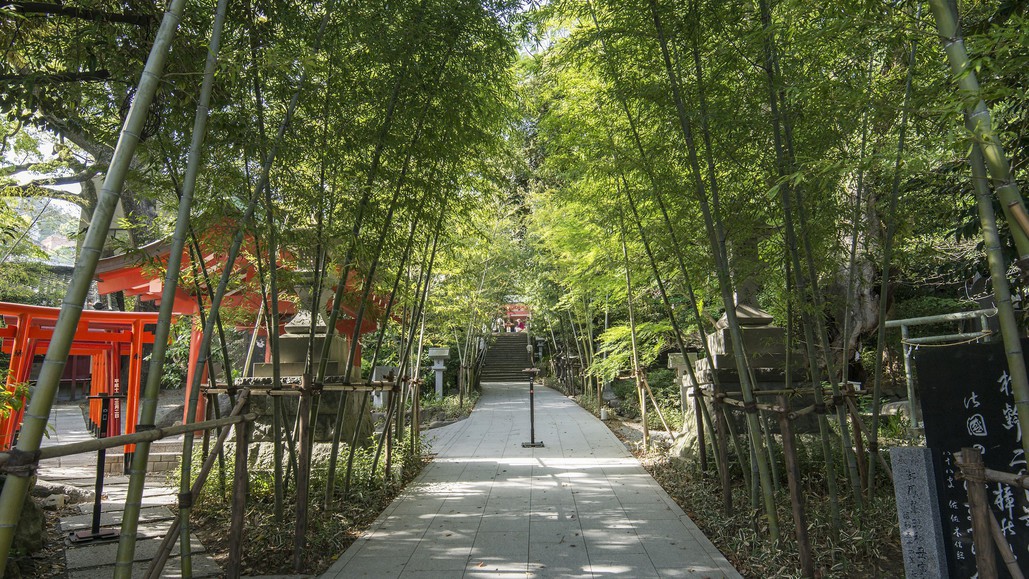 来宮神社