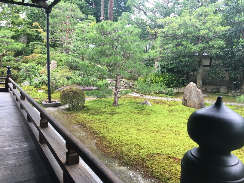 両足院(建仁寺塔頭、つばらより徒歩6分)で早朝の坐禅体験をぜひ! 両足院HPより要予約