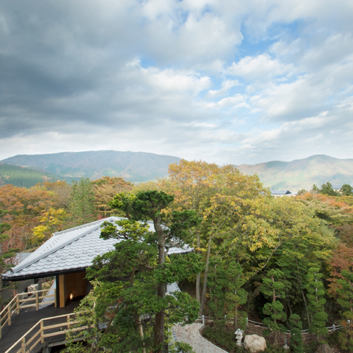 【205：菫（すみれ）】眺望