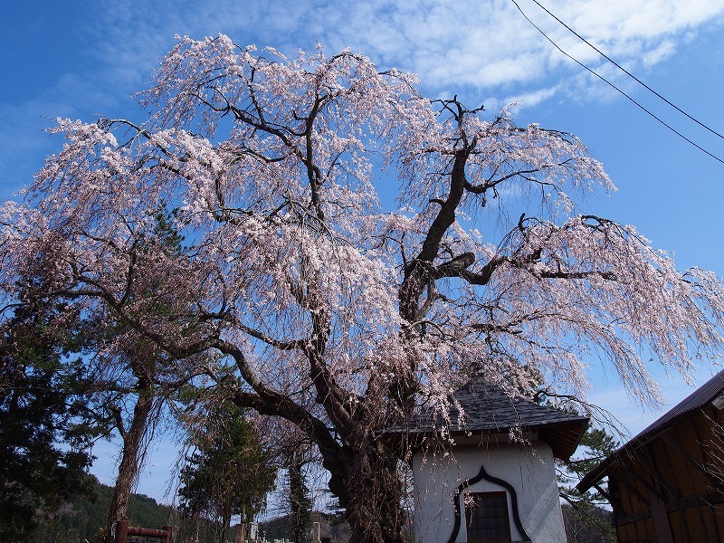 莱昂小屋