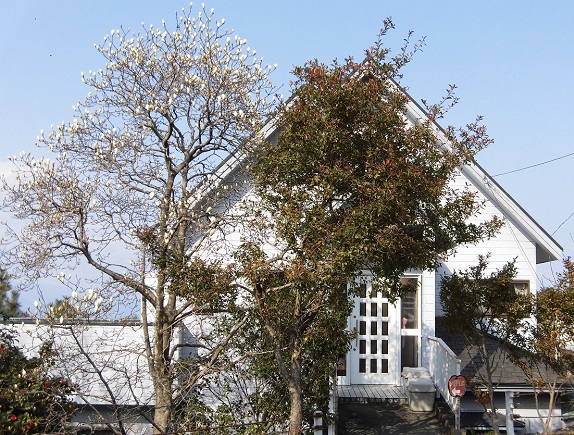 This photo about Kashibesso Apple shared on HyHotel.com