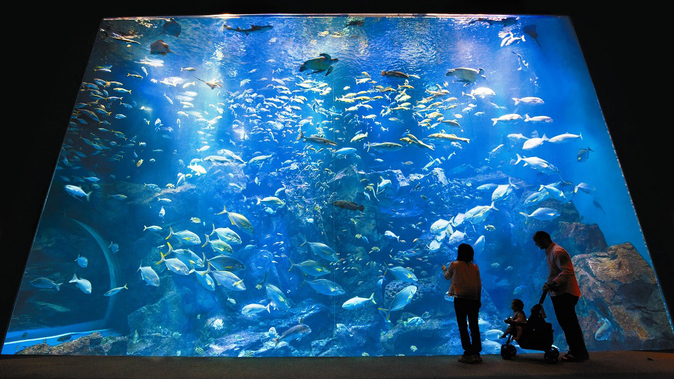 男鹿水族館GAO