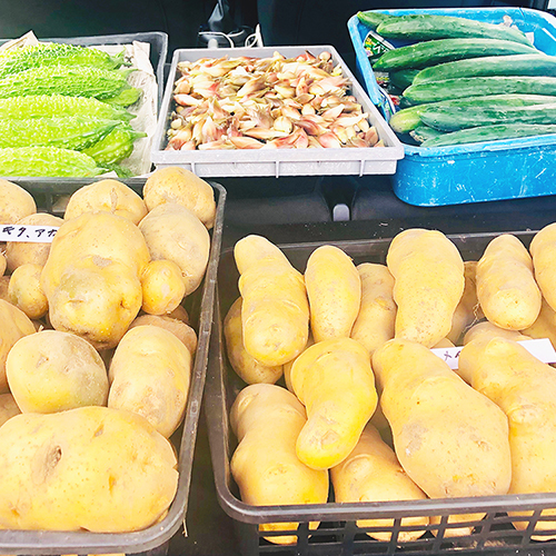 〜自家菜園している！手作りの高原野菜♪〜