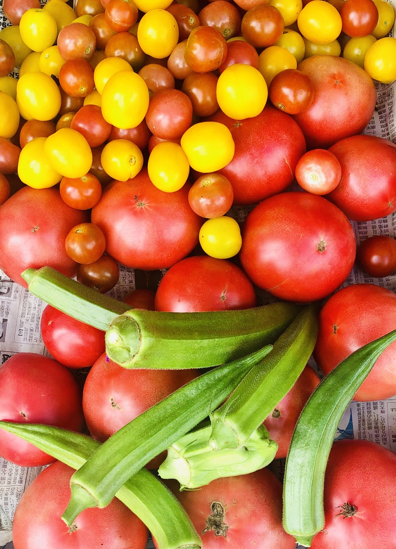 〜新鮮野菜〜