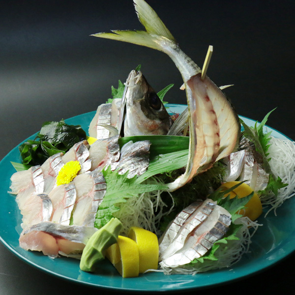 関アジのお造り一例大分の新鮮海鮮をお楽しみくださいませ。