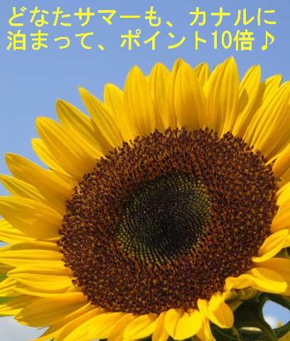 オークスカナルパークホテル富山 写真2