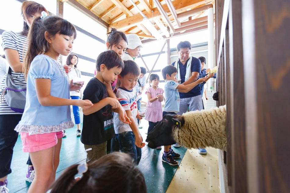 畜舎ふれあい