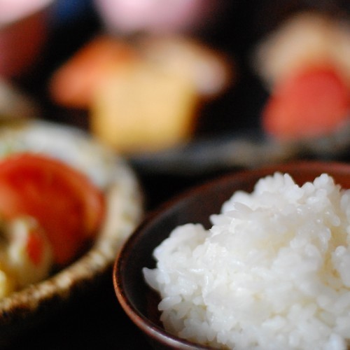 【食材・米】天皇陛下への献上米にもなった菊鹿米を特別に農家の方から分けていただき使用しております／例