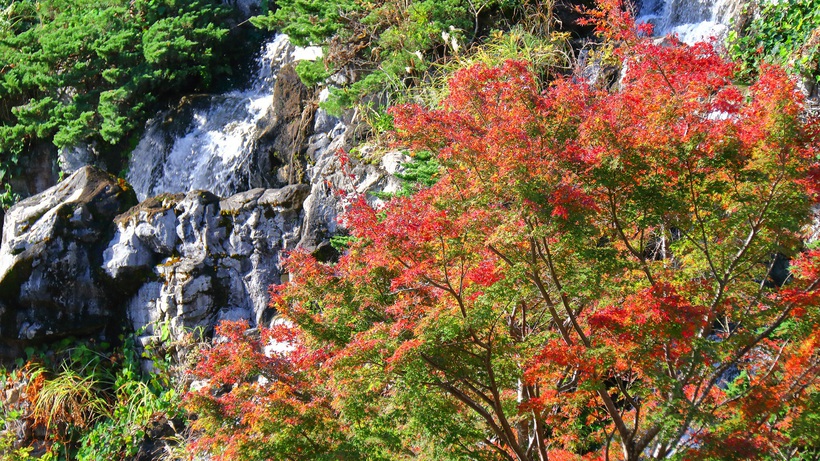 【熱海梅園】秋には紅葉も楽しめます