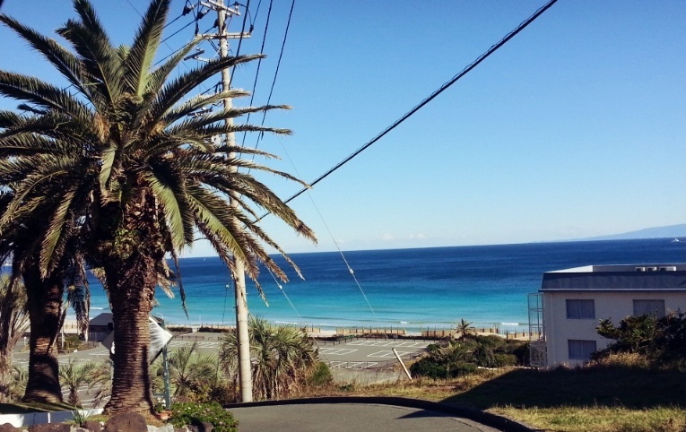 This photo about Island Village shared on HyHotel.com