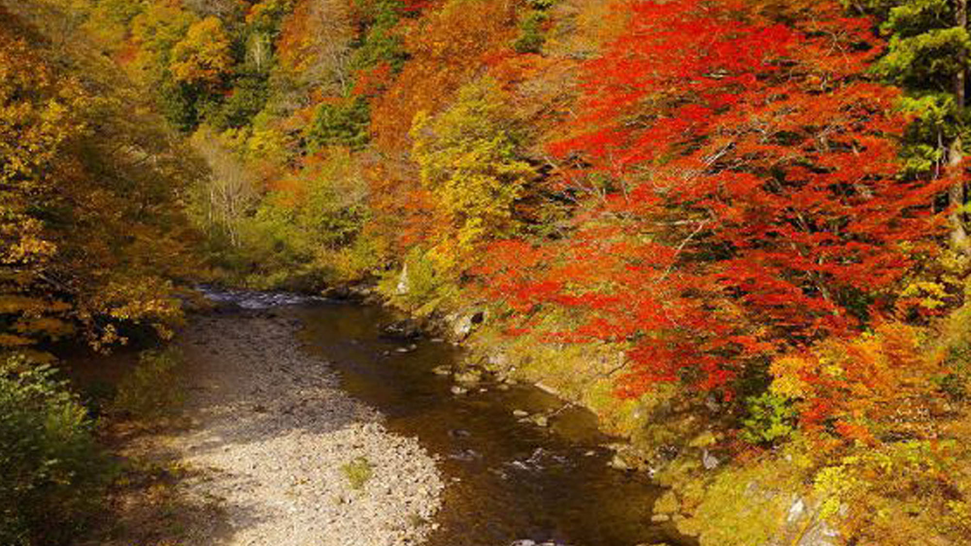 薬研渓流の紅葉（例年の見頃は10月中旬〜下旬) 当館より約20km・お車にて30分程です。
