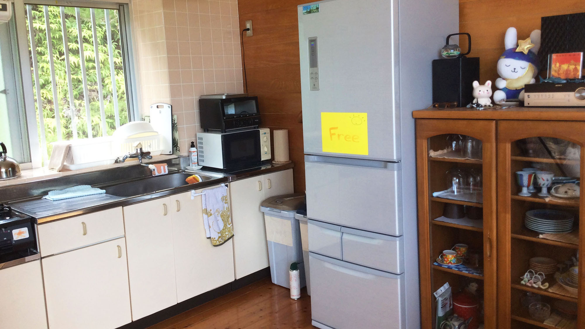 Gantan Bunny Image 2, Okinawa Main island, Japan