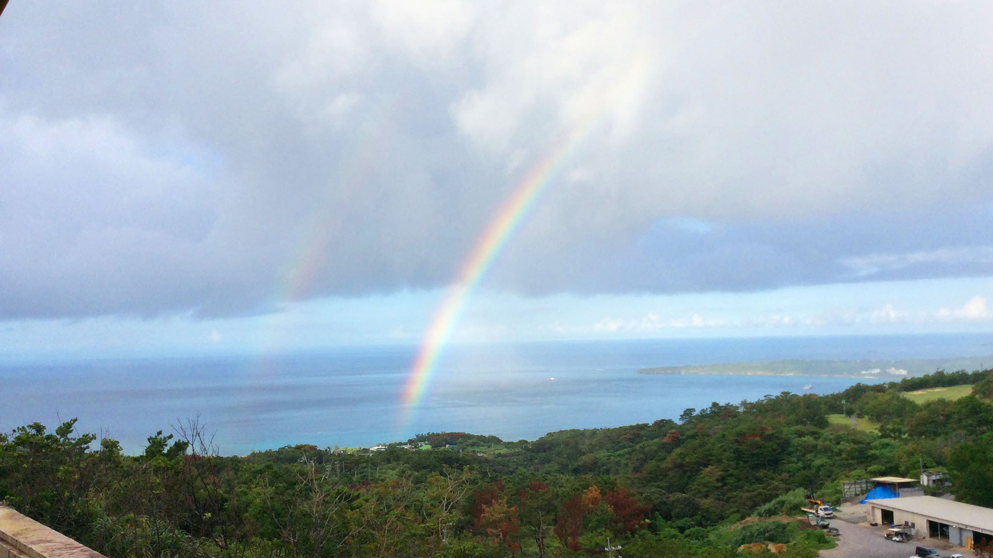 Gantan Bunny Image 5, Okinawa Main island, Japan