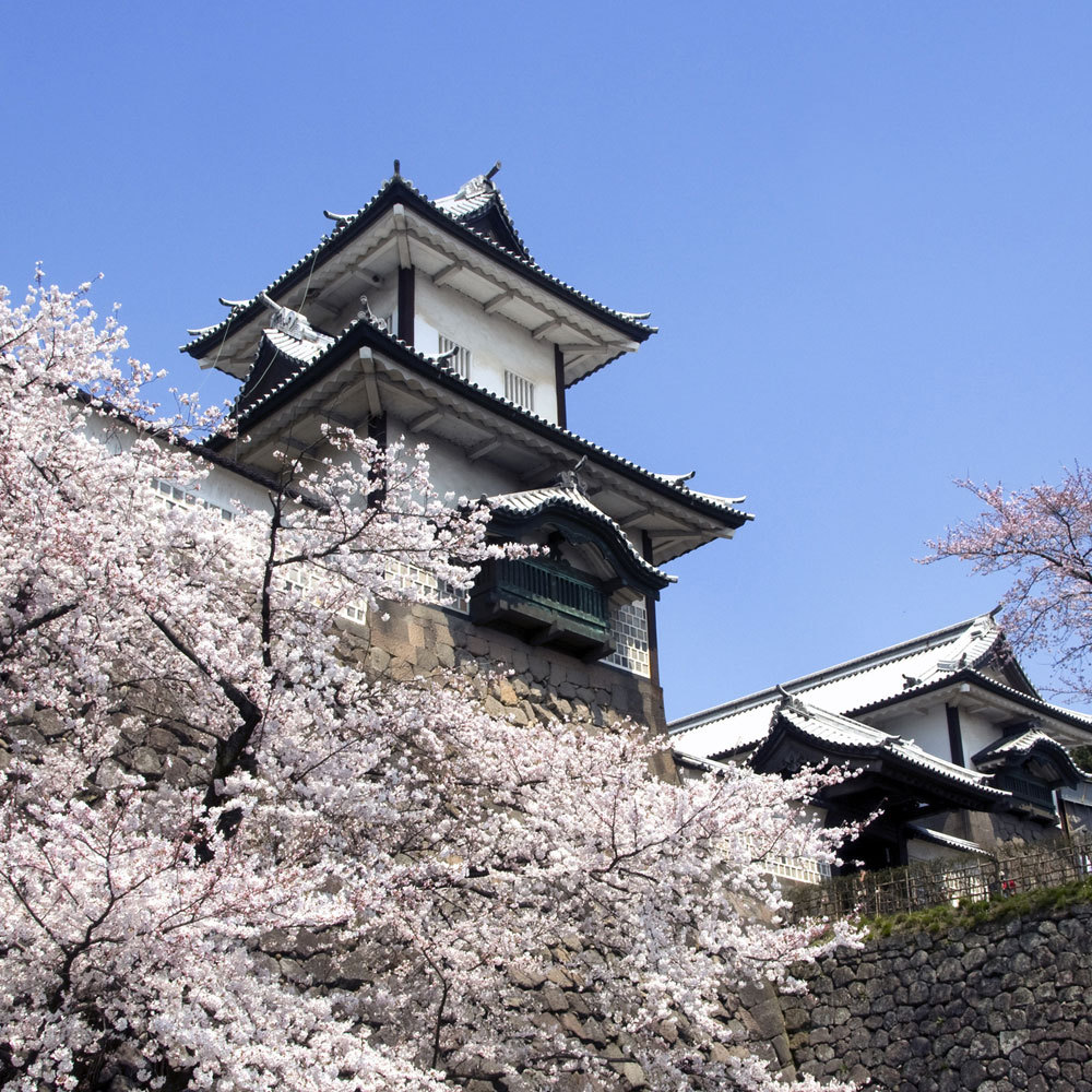 【観光情報】石川門桜の季節金沢人のお花見宴会といえば沈床園。周囲はお花見に最適！