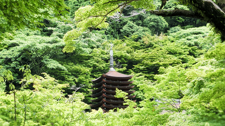 夏談山神社新緑の中の十三重塔