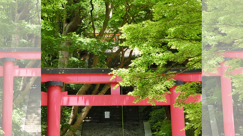 夏談山神社鳥居と青紅葉