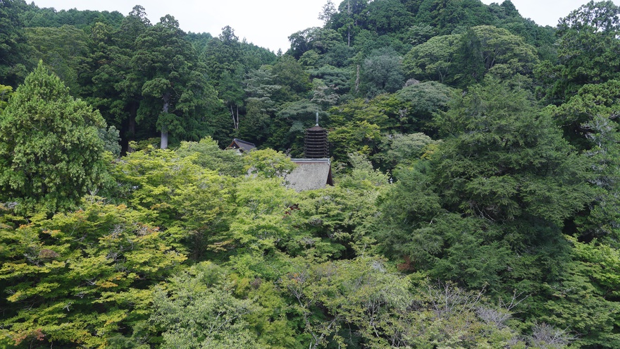 東館客室からの眺望（神社の拝殿）