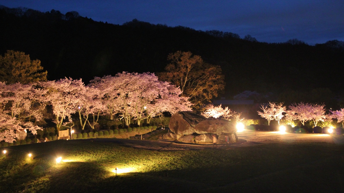 *【石舞台夜桜ライトアップ】