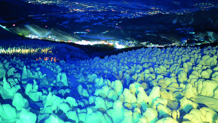 【蔵王温泉スキー場】シーズン中は幻想的な樹氷のライトアップを楽しむことができます。