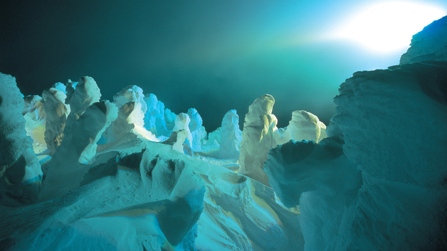 #【蔵王温泉スキー場】シーズン中は幻想的な樹氷のライトアップを楽しむことができます。