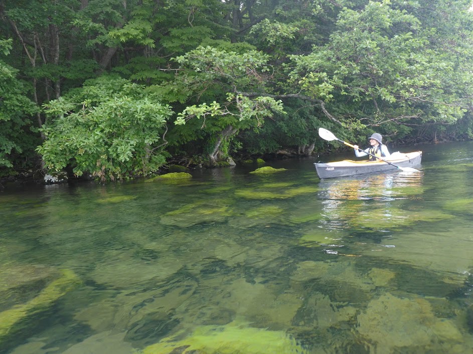 夏・十和田湖カヤック