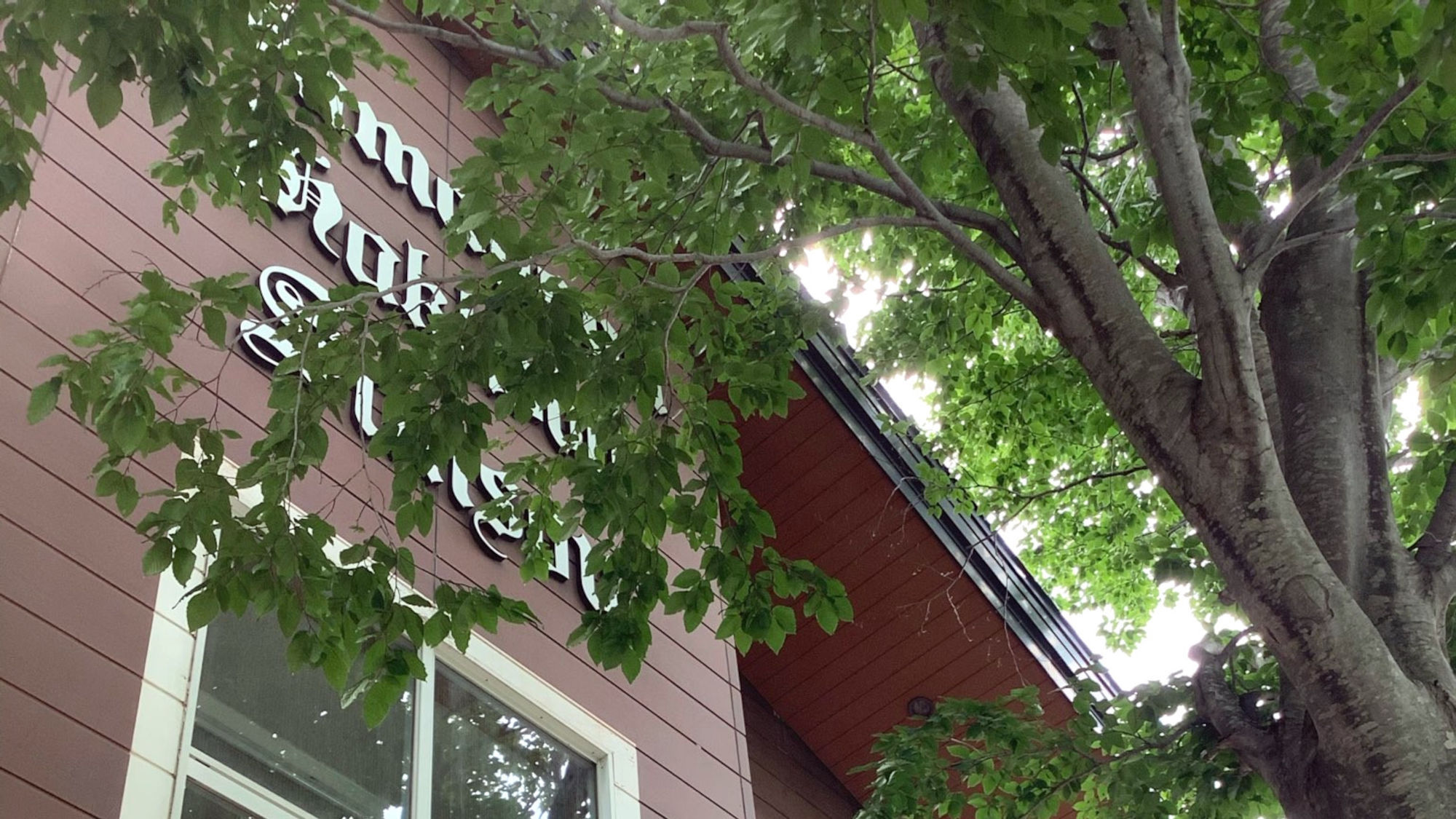 ・新緑もきれいです