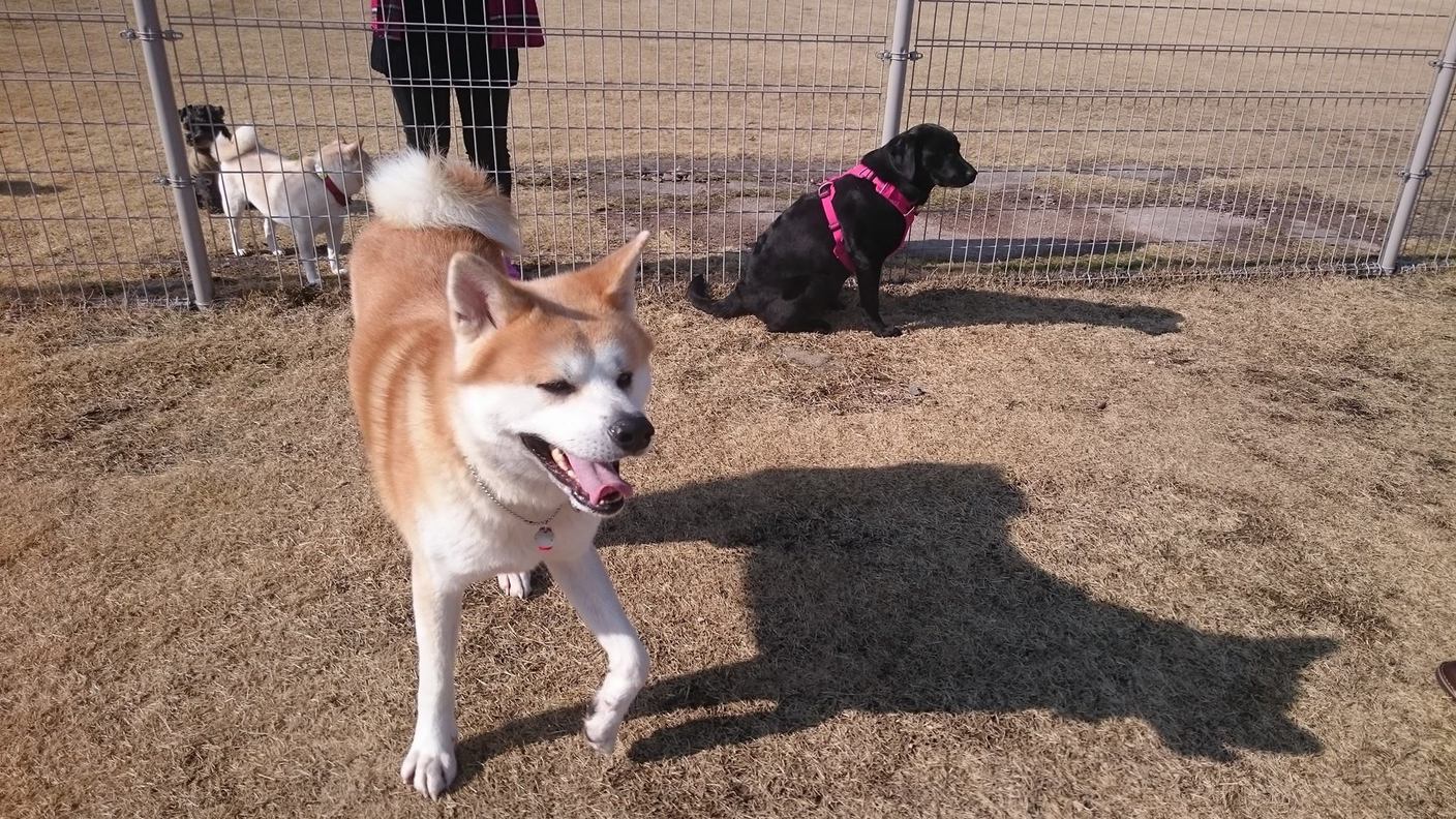 あたたかくなってきたね