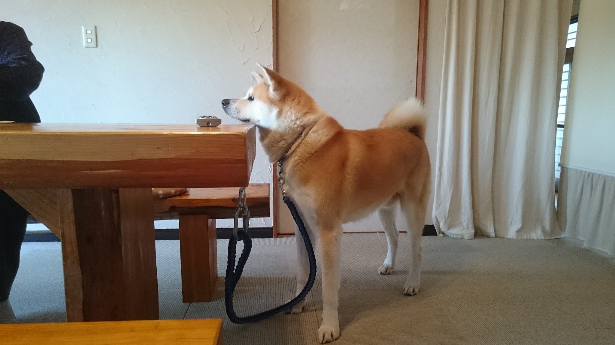 ちょうどいい高さ