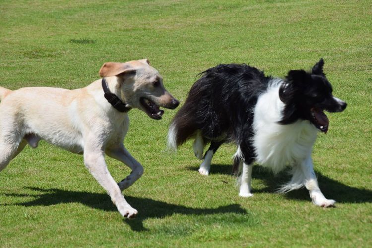 B & B Kenyuraku Image 2, Hitoyoshi, Japan