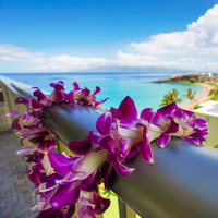 【お部屋のみ】ホエラーズビレッジに隣接！便利なロケーションでマウイ観光におススメ！