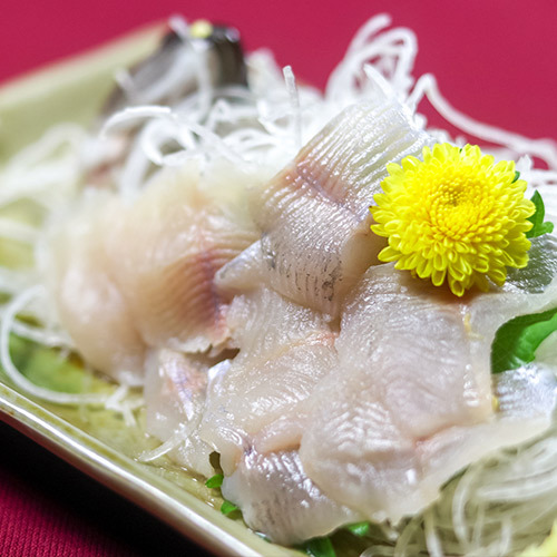 いわなの姿造り