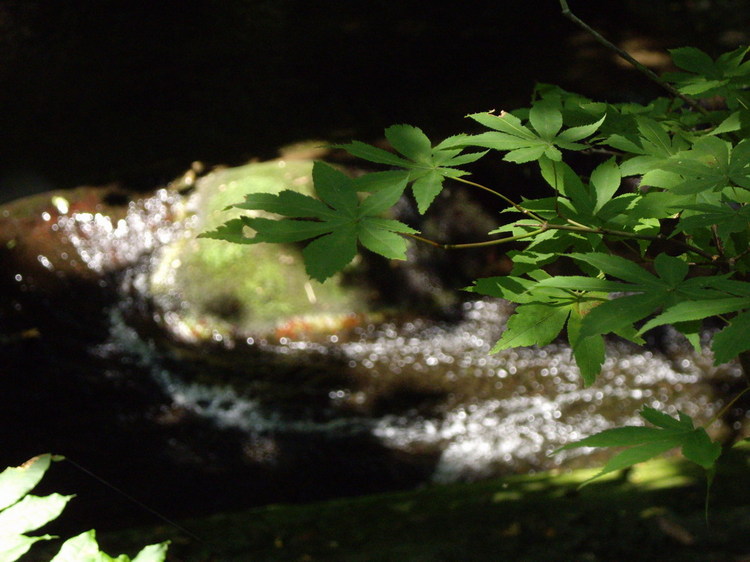 盐原温泉 间岛庄旅馆