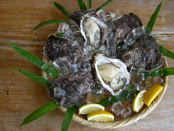 Seaside Uradome Image 4, Iwami, Japan