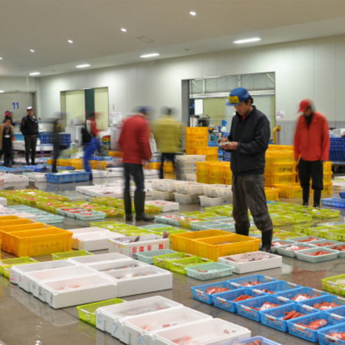 沼津魚市場にて。伊豆最高レベルの魚、旬の魚に徹底的にこだわります。
