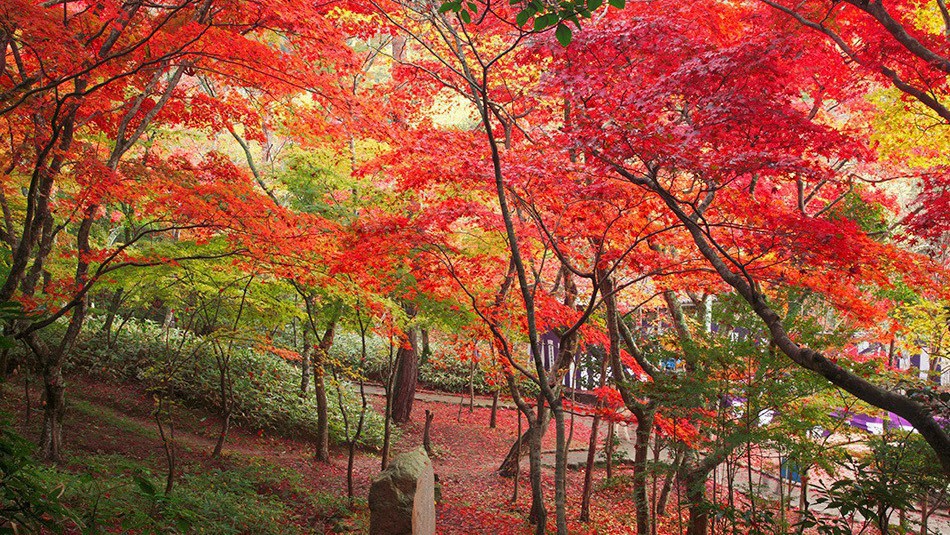 瑞宝寺公園