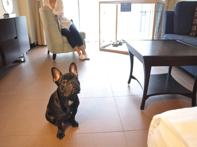 Arima Onsen Arima Rokusai Image 2, Kobe, Japan