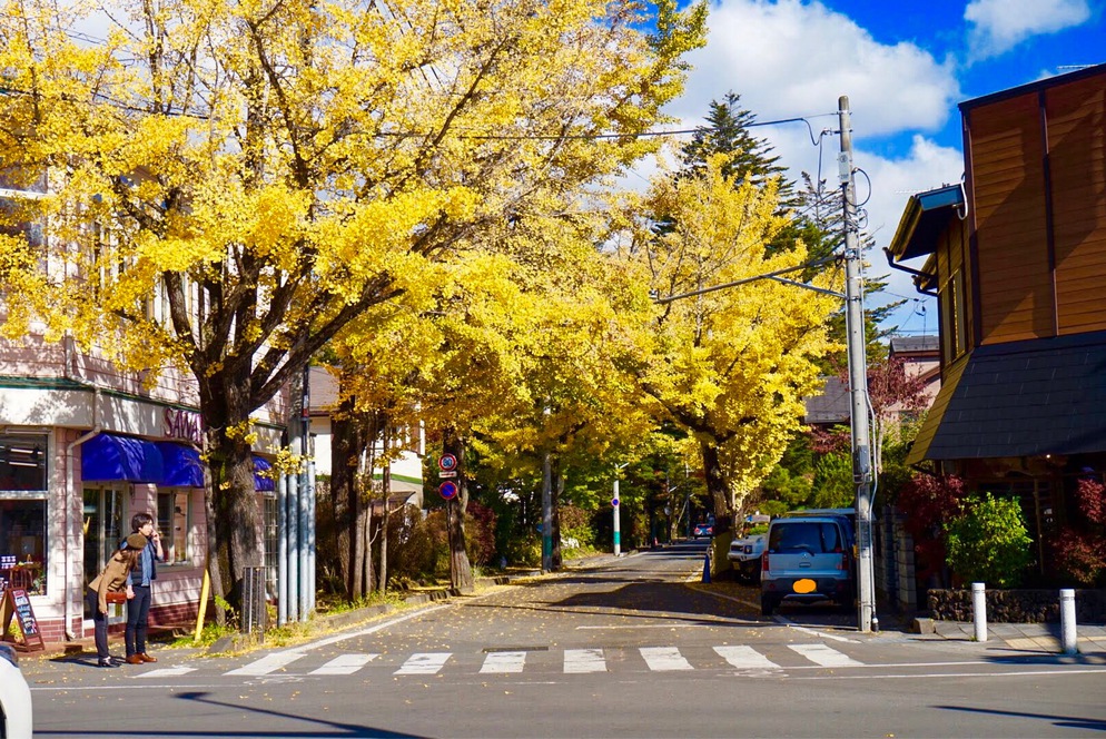 東雲交差点の紅葉