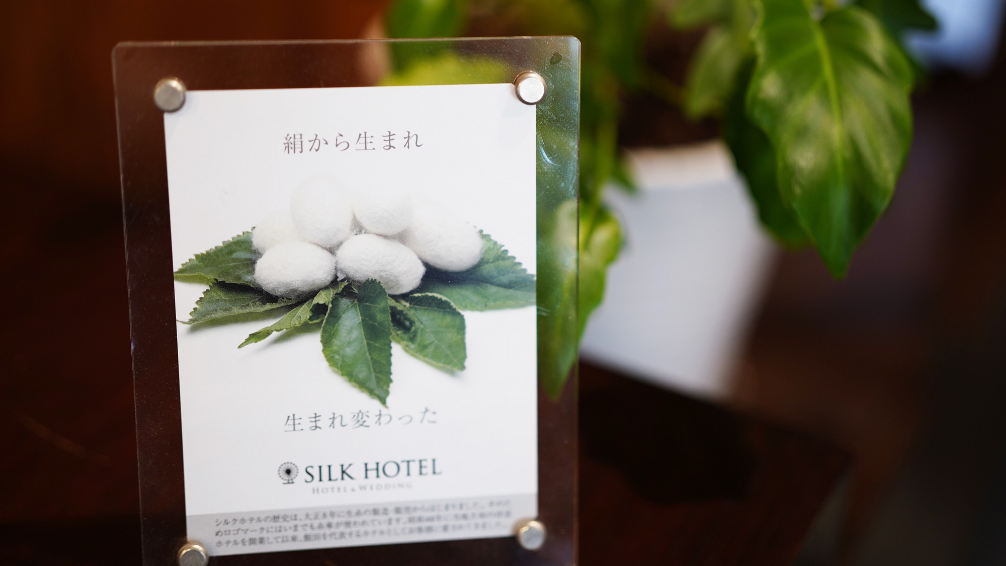 【館内一例】大正5年製糸場として創業の歴史を紡ぎ、現在のシルクホテルへ生まれかわりました。