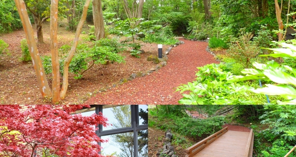 Izu Kogen Hotel Itsutsuboshi Ambiance