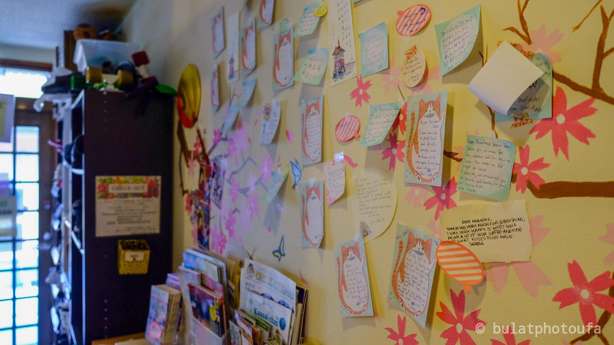 お客様からの声