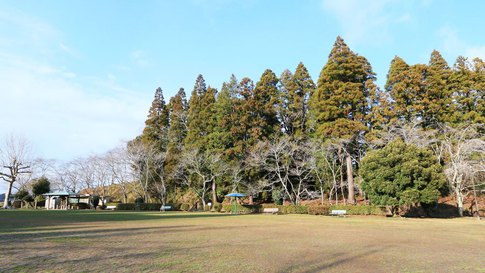 *【周辺】茂原公園 遊歩道、多目的広場、野外ステージなどが設けられています