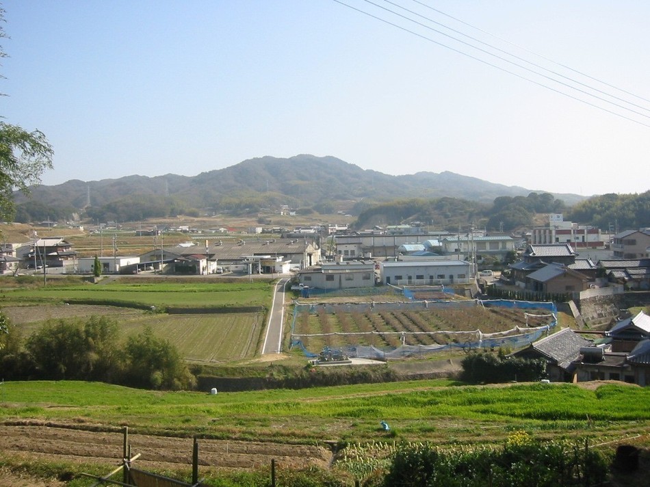 裏山からの風景