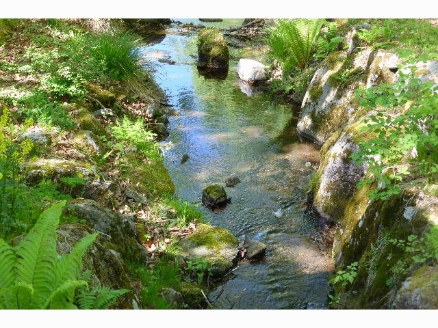 うらら♪に続く遊歩道