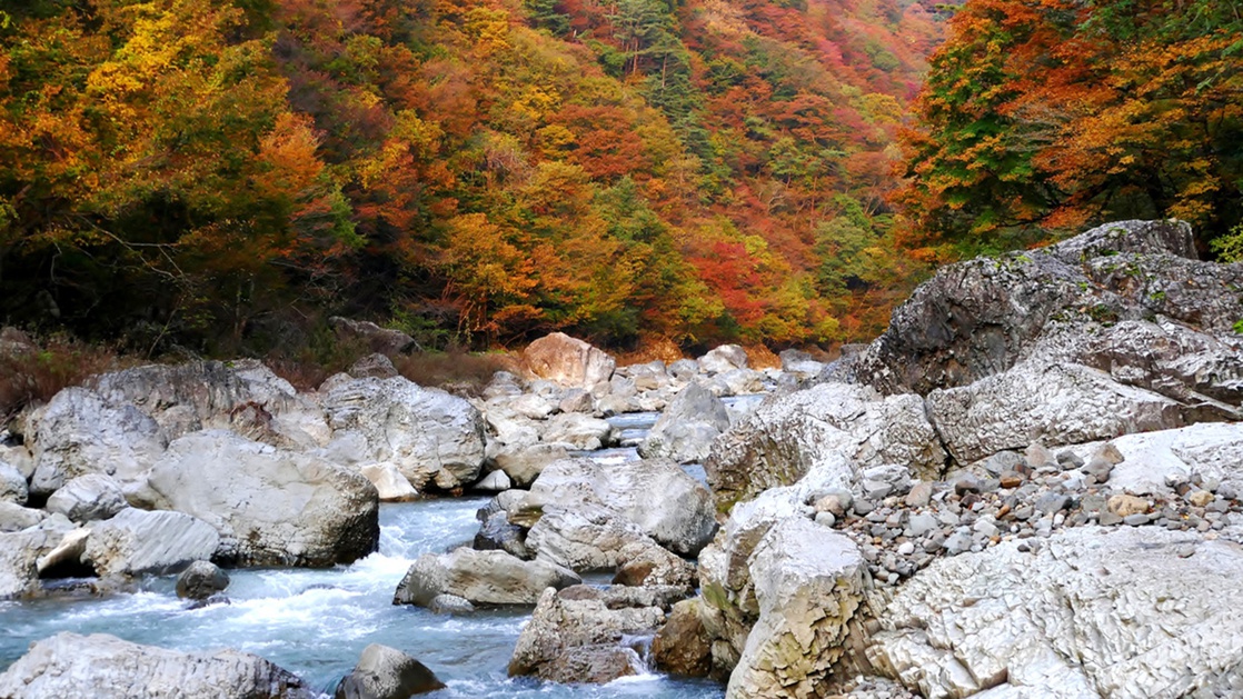 *【紅葉】抱返り渓谷